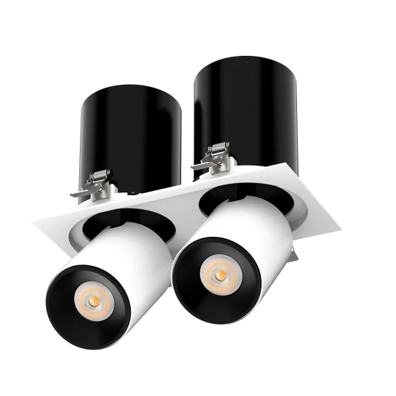 Double head adjustable D115 Series LED downlight 2*10W