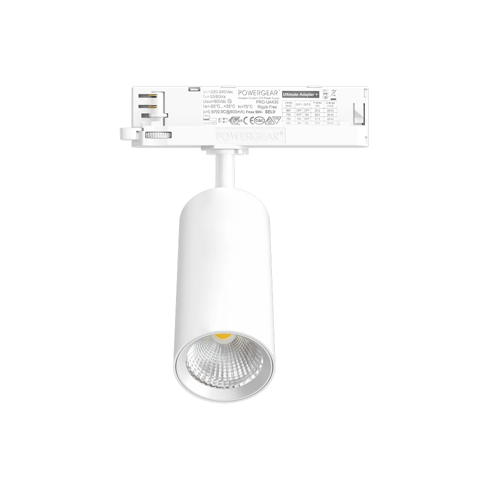 F1M-D62 مصباح مسار داخلي معياري LED بقوة 10-20 واط
