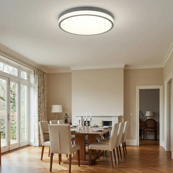 What Does a 6000 Lumen LED Ceiling Light Look Like Indoors?