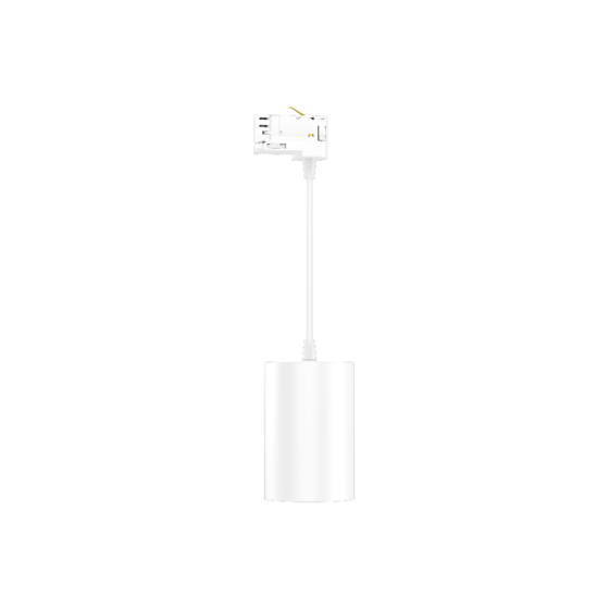 Miniature